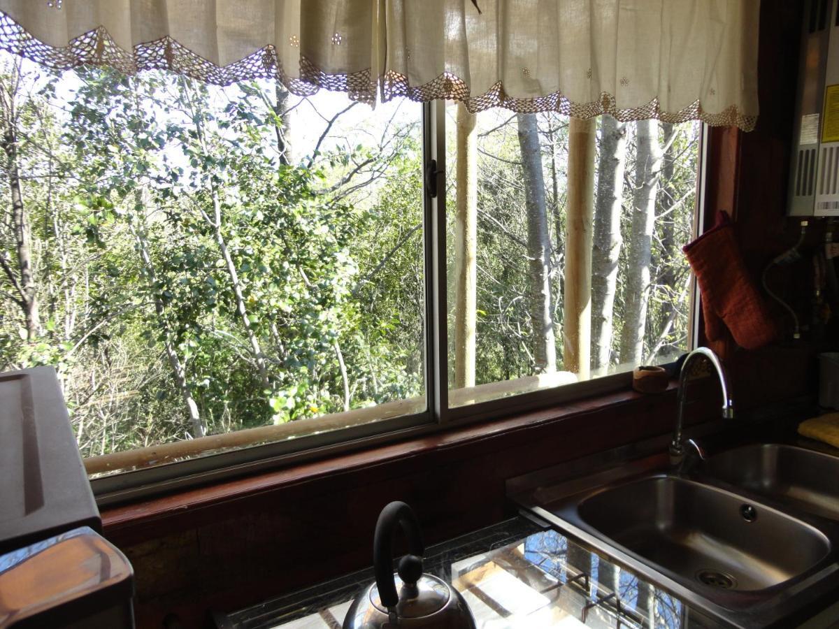 Cabanas Spa Bungalows Huarranchi Pucon Ngoại thất bức ảnh