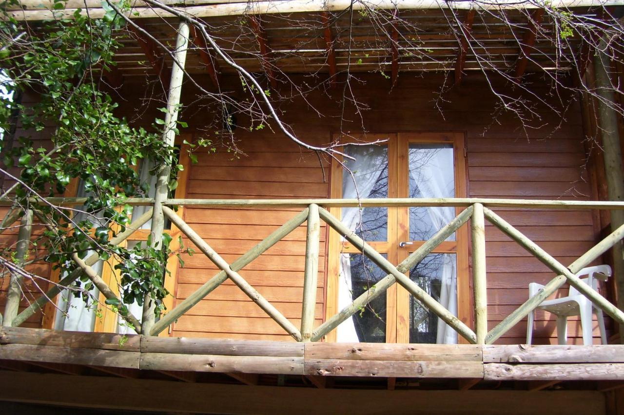 Cabanas Spa Bungalows Huarranchi Pucon Phòng bức ảnh